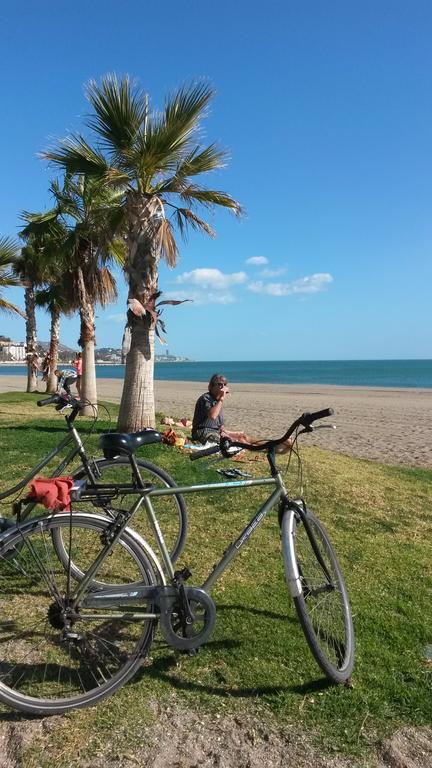 Serendipity Apartments Málaga Dış mekan fotoğraf